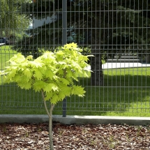 zdjecie_0051 zdjecie_0051